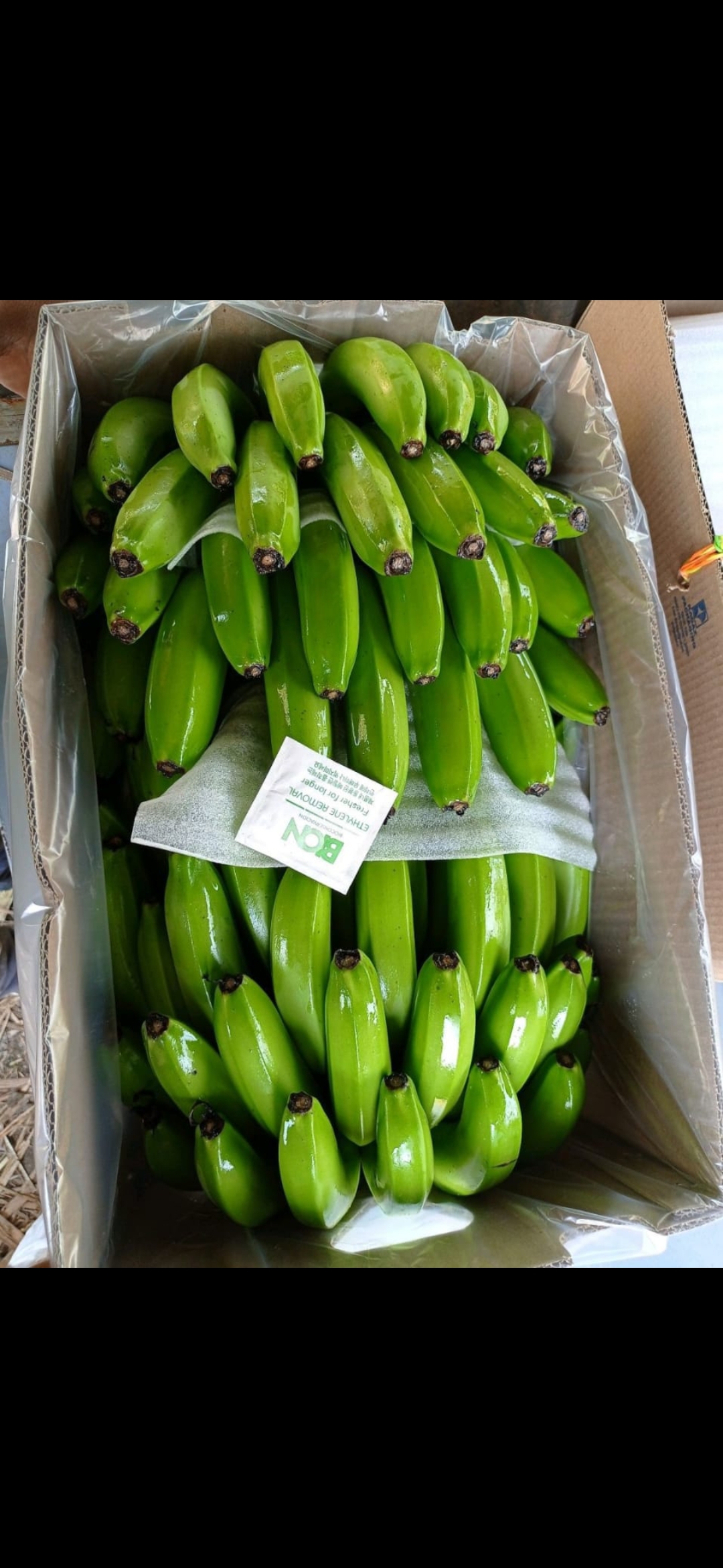 Fresh fruit banana