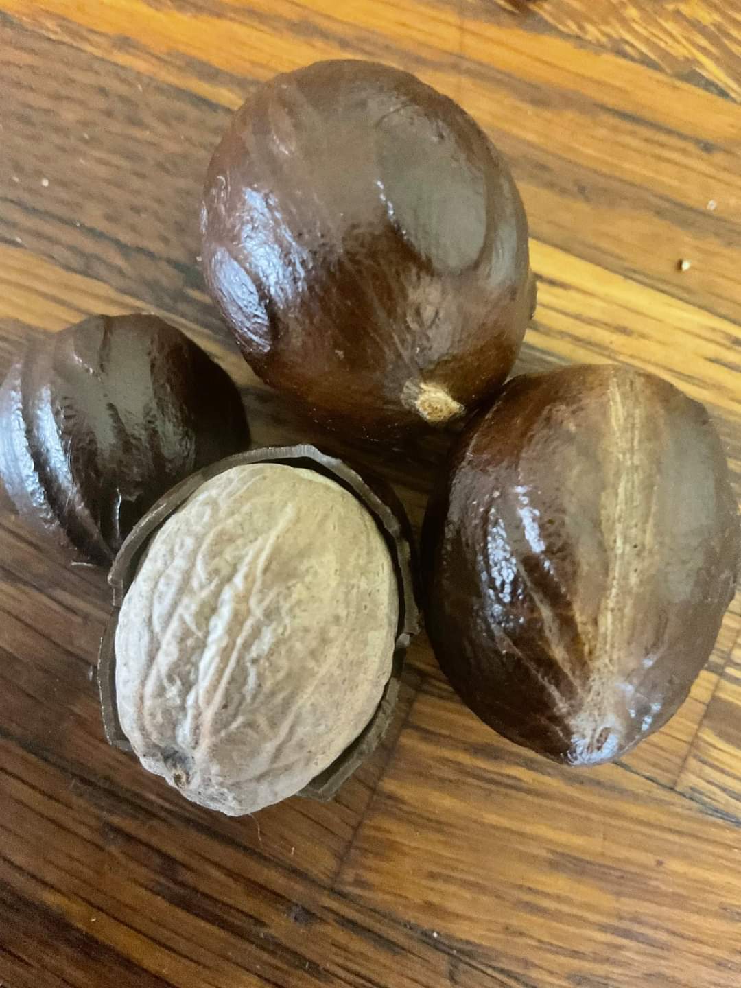 CEYLON NUTMEG