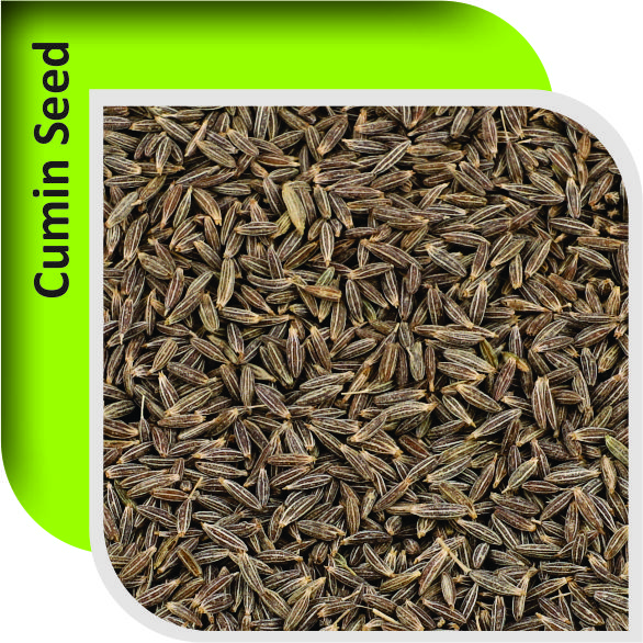 Cumin Seeds