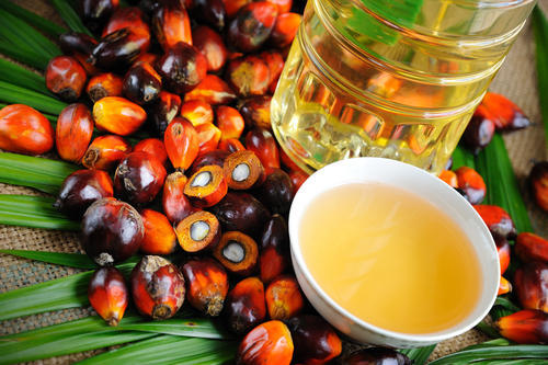 Refined palm oil CP8 and CP10  