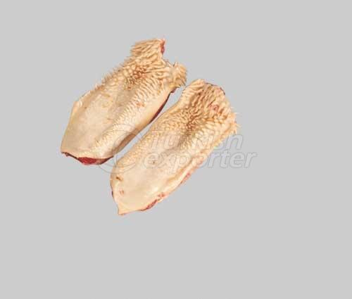 Gills